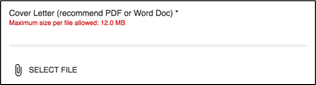 candidate experience_file upload error.png
