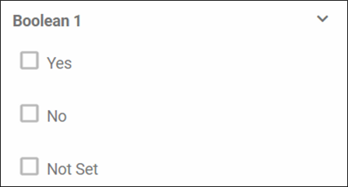 Boolean type filter.png